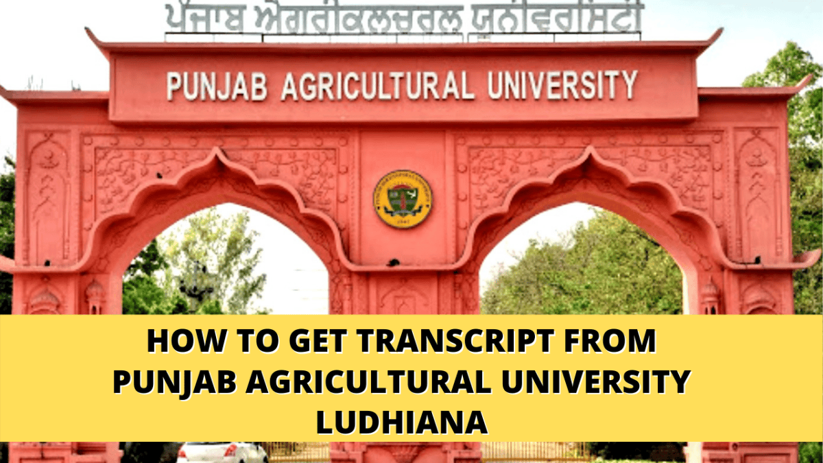 How to Get Transcripts from Punjab Agricultural University Ludhiana in ...